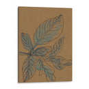 Pequeñas Plantas De Big Sur Xiii - Rob Delamater | Cuadro decorativo de Canvas Lab