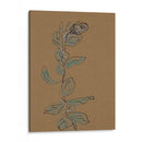 Pequeñas Plantas De Big Sur Xiv - Rob Delamater | Cuadro decorativo de Canvas Lab