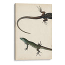 Díptico Lagarto I - Vision Studio | Cuadro decorativo de Canvas Lab