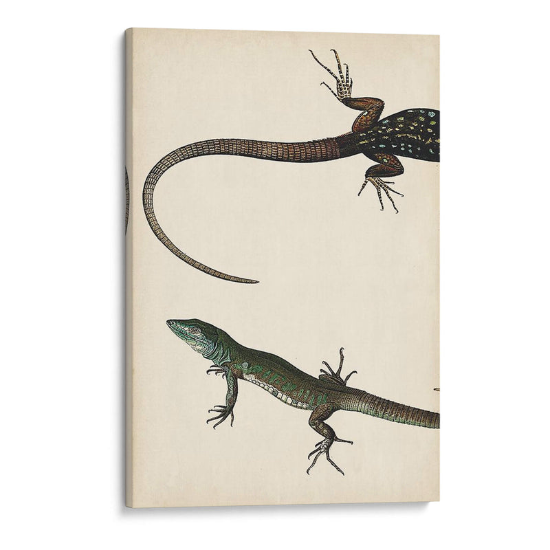 Díptico Lagarto I - Vision Studio | Cuadro decorativo de Canvas Lab
