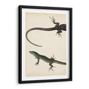 Díptico Lagarto I - Vision Studio | Cuadro decorativo de Canvas Lab