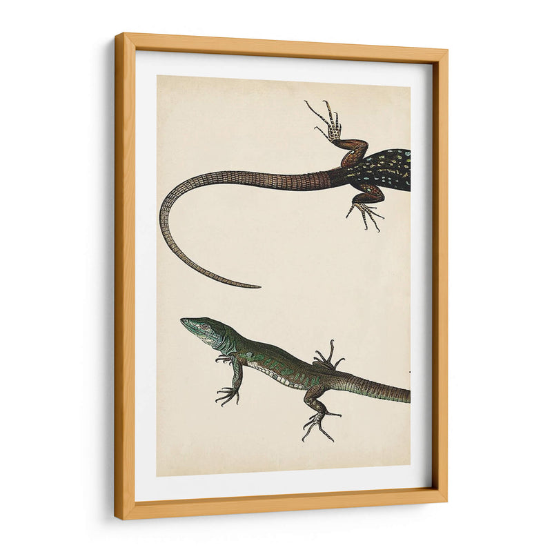 Díptico Lagarto I - Vision Studio | Cuadro decorativo de Canvas Lab
