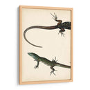 Díptico Lagarto I - Vision Studio | Cuadro decorativo de Canvas Lab