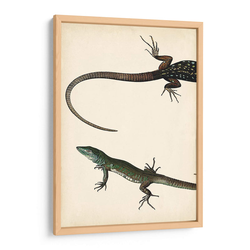 Díptico Lagarto I - Vision Studio | Cuadro decorativo de Canvas Lab