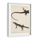 Díptico Lagarto I - Vision Studio | Cuadro decorativo de Canvas Lab