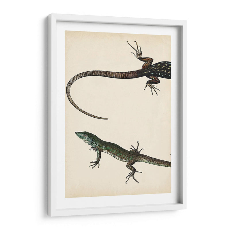 Díptico Lagarto I - Vision Studio | Cuadro decorativo de Canvas Lab