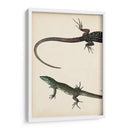 Díptico Lagarto I - Vision Studio | Cuadro decorativo de Canvas Lab