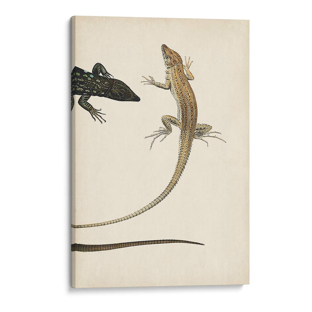 Díptico Lagarto Ii - Vision Studio | Cuadro decorativo de Canvas Lab