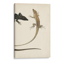 Díptico Lagarto Ii - Vision Studio | Cuadro decorativo de Canvas Lab