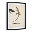 Díptico Lagarto Ii - Vision Studio | Cuadro decorativo de Canvas Lab