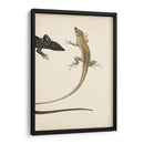Díptico Lagarto Ii - Vision Studio | Cuadro decorativo de Canvas Lab