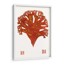 Gorra Marina Iii - Vision Studio | Cuadro decorativo de Canvas Lab