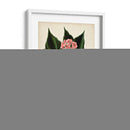 Follaje Antiguo Y Fruta V - Vision Studio | Cuadro decorativo de Canvas Lab