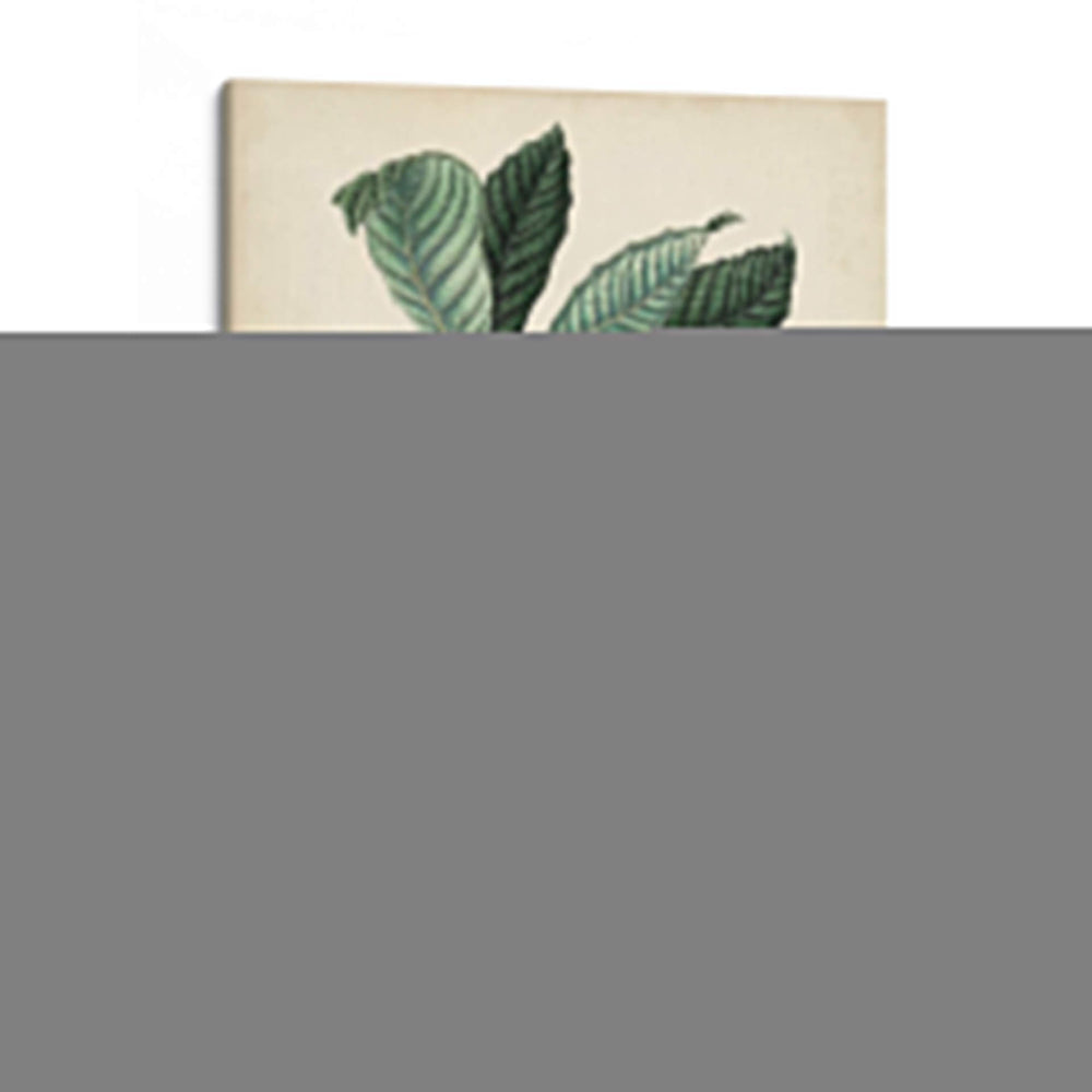 Follaje Antiguo Y Fruta Vi - Vision Studio | Cuadro decorativo de Canvas Lab