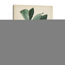 Follaje Antiguo Y Fruta Vi - Vision Studio | Cuadro decorativo de Canvas Lab