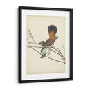 Pájaros Elegantes Ii - Vision Studio | Cuadro decorativo de Canvas Lab