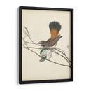 Pájaros Elegantes Ii - Vision Studio | Cuadro decorativo de Canvas Lab