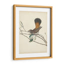 Pájaros Elegantes Ii - Vision Studio | Cuadro decorativo de Canvas Lab