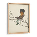 Pájaros Elegantes Ii - Vision Studio | Cuadro decorativo de Canvas Lab