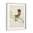 Pájaros Elegantes Ii - Vision Studio | Cuadro decorativo de Canvas Lab