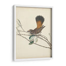 Pájaros Elegantes Ii - Vision Studio | Cuadro decorativo de Canvas Lab