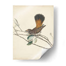 Pájaros Elegantes Ii - Vision Studio | Cuadro decorativo de Canvas Lab