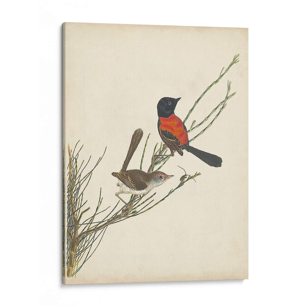Pájaros Elegantes Iii - Vision Studio | Cuadro decorativo de Canvas Lab
