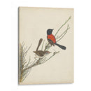 Pájaros Elegantes Iii - Vision Studio | Cuadro decorativo de Canvas Lab