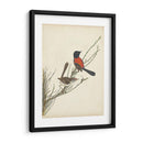 Pájaros Elegantes Iii - Vision Studio | Cuadro decorativo de Canvas Lab
