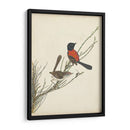 Pájaros Elegantes Iii - Vision Studio | Cuadro decorativo de Canvas Lab