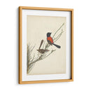 Pájaros Elegantes Iii - Vision Studio | Cuadro decorativo de Canvas Lab