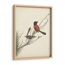 Pájaros Elegantes Iii - Vision Studio | Cuadro decorativo de Canvas Lab