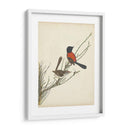 Pájaros Elegantes Iii - Vision Studio | Cuadro decorativo de Canvas Lab