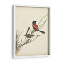Pájaros Elegantes Iii - Vision Studio | Cuadro decorativo de Canvas Lab