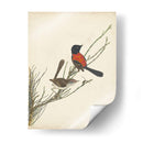 Pájaros Elegantes Iii - Vision Studio | Cuadro decorativo de Canvas Lab