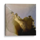 Júpiter Daybreak Ii - Victoria Borges | Cuadro decorativo de Canvas Lab