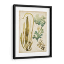Vintage Mar Fronds Iii - June Erica Vess | Cuadro decorativo de Canvas Lab