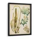 Vintage Mar Fronds Iii - June Erica Vess | Cuadro decorativo de Canvas Lab