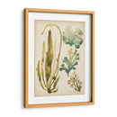 Vintage Mar Fronds Iii - June Erica Vess | Cuadro decorativo de Canvas Lab