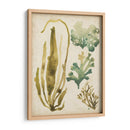 Vintage Mar Fronds Iii - June Erica Vess | Cuadro decorativo de Canvas Lab