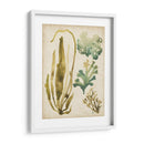 Vintage Mar Fronds Iii - June Erica Vess | Cuadro decorativo de Canvas Lab