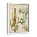 Vintage Mar Fronds Iii - June Erica Vess | Cuadro decorativo de Canvas Lab