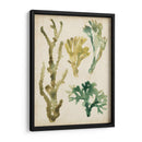 Fronds De Mar Vintage V - June Erica Vess | Cuadro decorativo de Canvas Lab