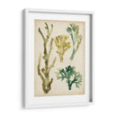 Fronds De Mar Vintage V - June Erica Vess | Cuadro decorativo de Canvas Lab