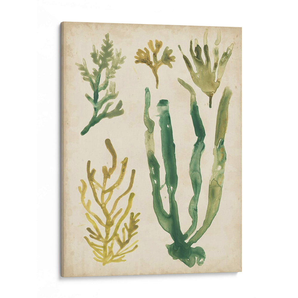 Vintage Fronds Vi - June Erica Vess | Cuadro decorativo de Canvas Lab