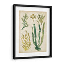 Vintage Fronds Vi - June Erica Vess | Cuadro decorativo de Canvas Lab