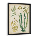 Vintage Fronds Vi - June Erica Vess | Cuadro decorativo de Canvas Lab