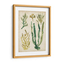 Vintage Fronds Vi - June Erica Vess | Cuadro decorativo de Canvas Lab