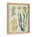 Vintage Fronds Vi - June Erica Vess | Cuadro decorativo de Canvas Lab