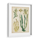 Vintage Fronds Vi - June Erica Vess | Cuadro decorativo de Canvas Lab